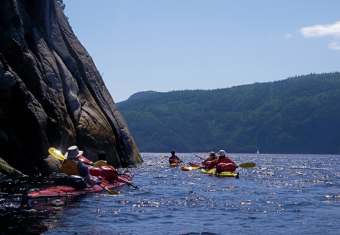 people kayaking